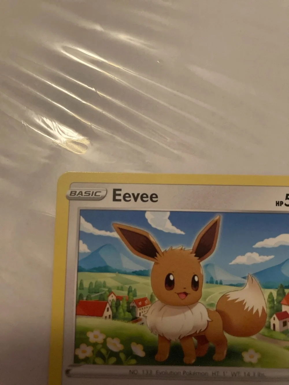 Pokemon Eevee Trading Card Yellow Border Blue Sky Artwork